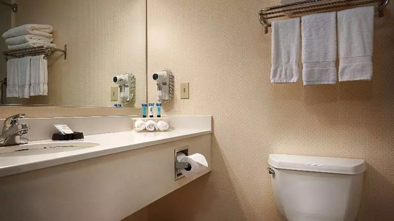 キングサイズベッドのスタンダードルーム, Best Western Plus Twin View Inn & Suites