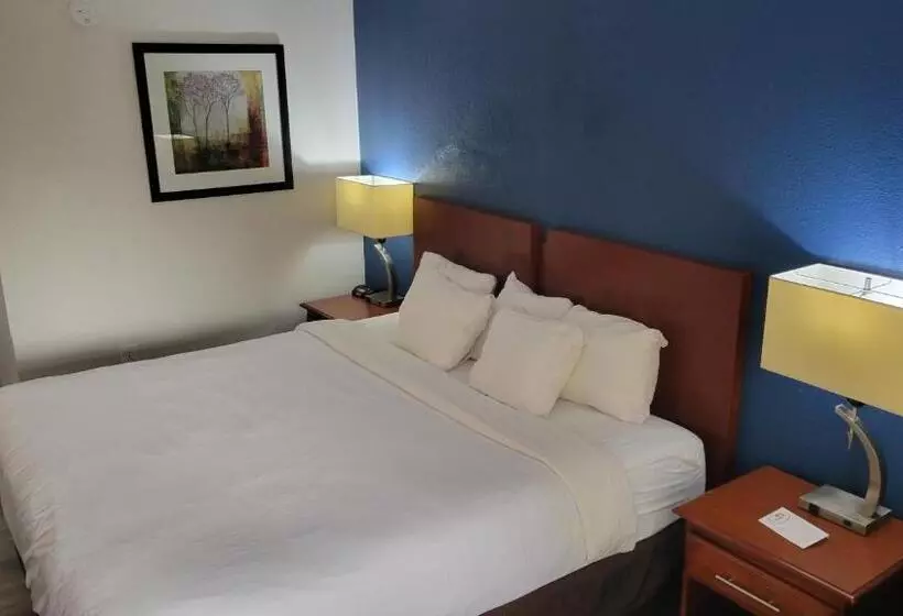 キングサイズベッドのスタンダードルーム, Comfort Inn Alpharettaatlanta North