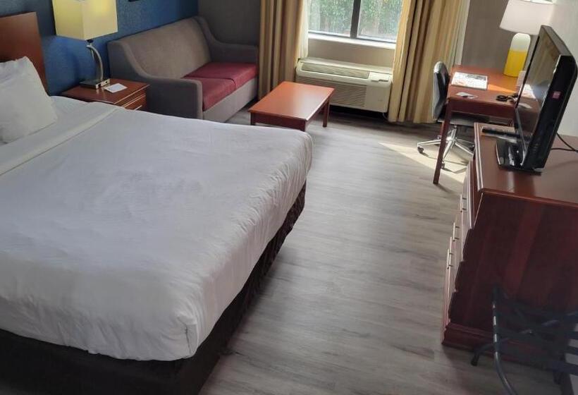 غرفة قياسية سرير كينج, Comfort Inn Alpharettaatlanta North