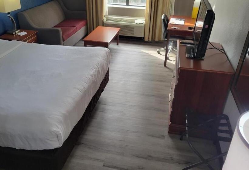 غرفة قياسية سرير كينج, Comfort Inn Alpharettaatlanta North