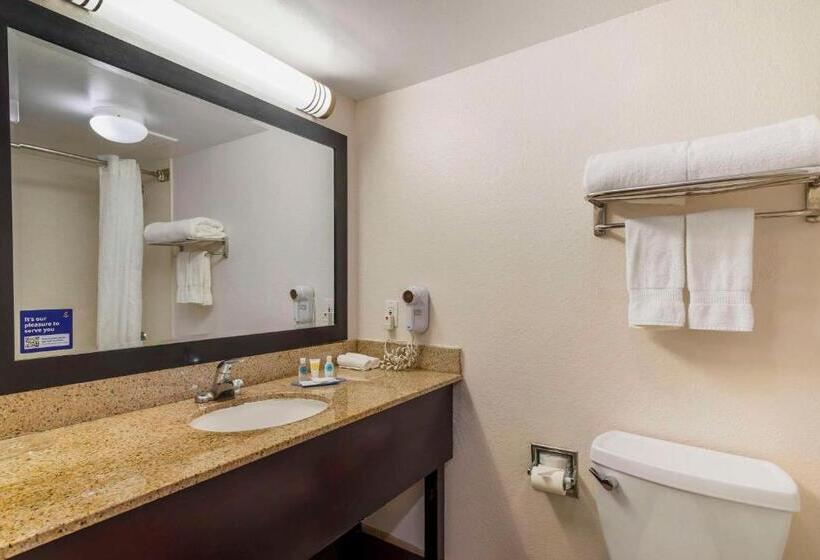 غرفة قياسية سرير كينج, Comfort Inn Alpharettaatlanta North