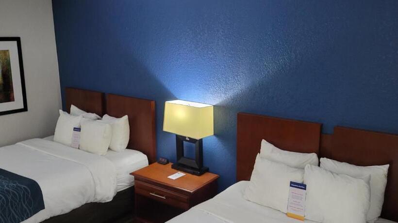 身障者適用キングサイズベッドルーム, Comfort Inn Alpharettaatlanta North