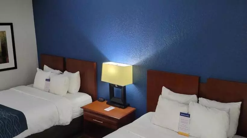 身障者適用キングサイズベッドルーム, Comfort Inn Alpharettaatlanta North