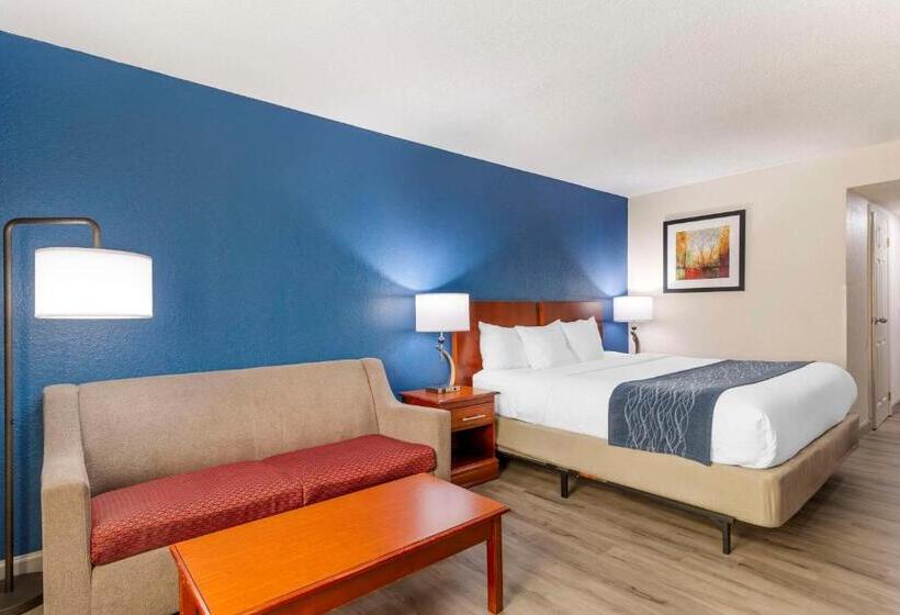 غرفة قياسية سرير كينج, Comfort Inn Alpharettaatlanta North