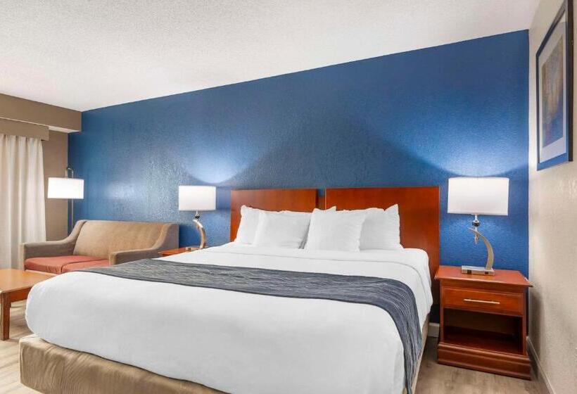 غرفة قياسية سرير كينج, Comfort Inn Alpharettaatlanta North