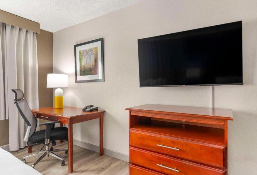 غرفة قياسية, Comfort Inn Alpharettaatlanta North