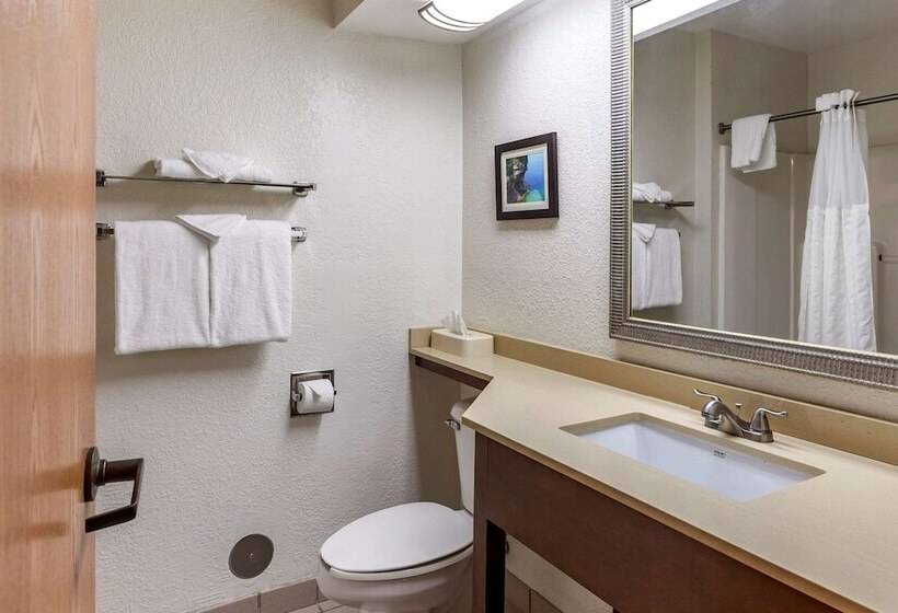 غرفه قياسيه سريرين مزدوجين, Comfort Inn Okemos  East Lansing