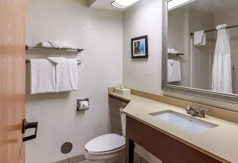 2ダブルベッドのスタンダードルーム, Comfort Inn Okemos East Lansing
