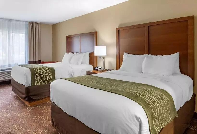 2ダブルベッドのスタンダードルーム, Comfort Inn Okemos East Lansing