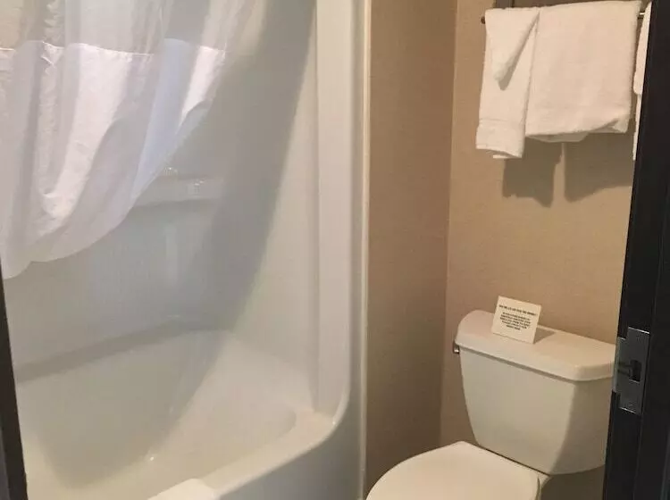 اتاق استاندارد با 2 تخت دوبل, Comfort Inn