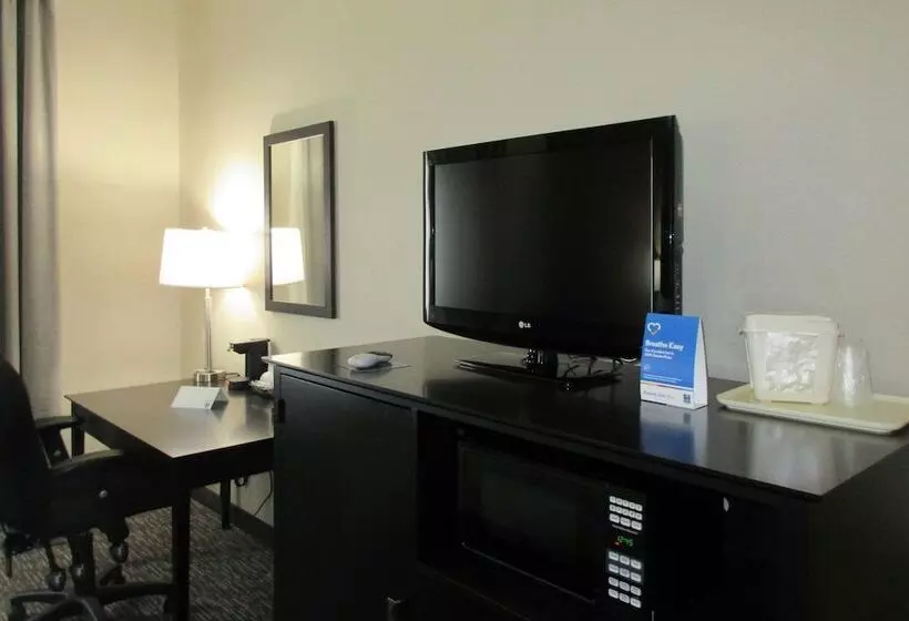 اتاق استاندارد با 2 تخت دوبل, Comfort Inn