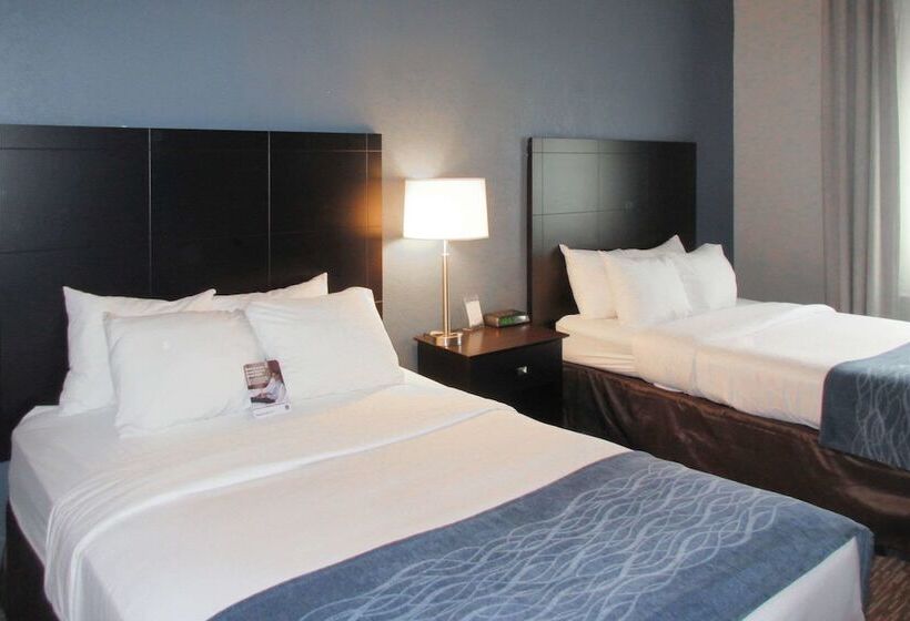 套房, Comfort Inn