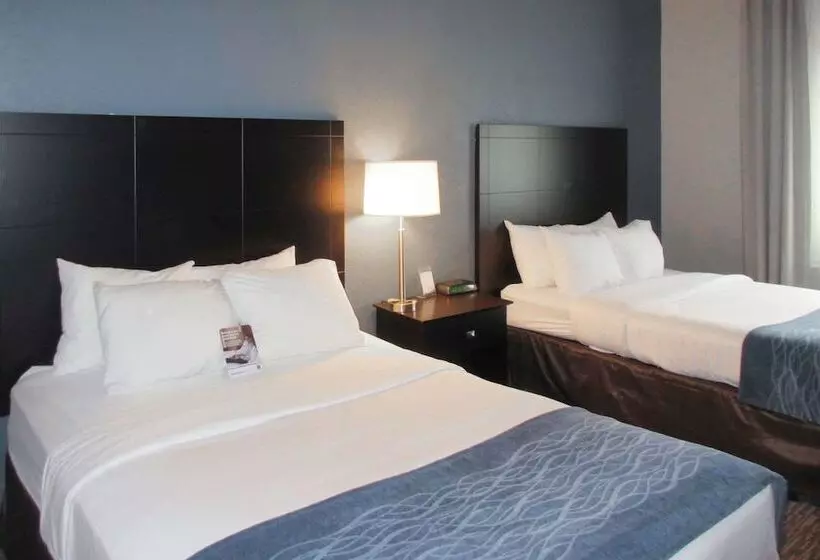 سوییت, Comfort Inn