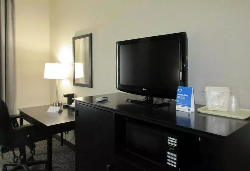 اتاق استاندارد با تخت بزرگ, Comfort Inn