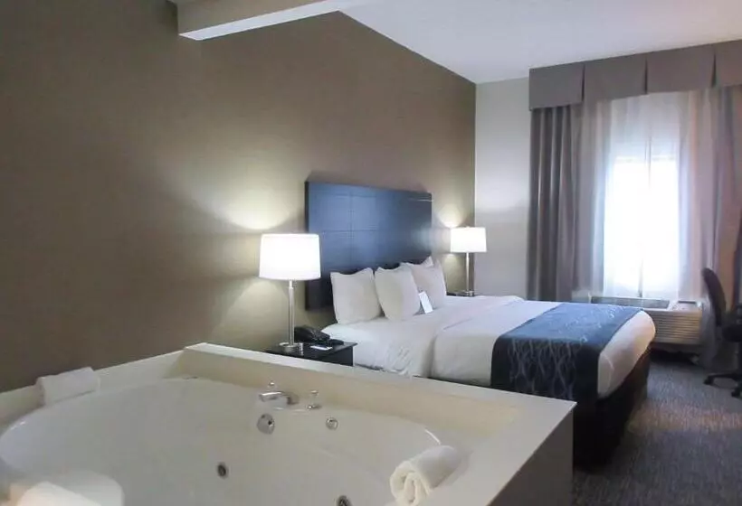 اتاق استاندارد با تخت بزرگ, Comfort Inn
