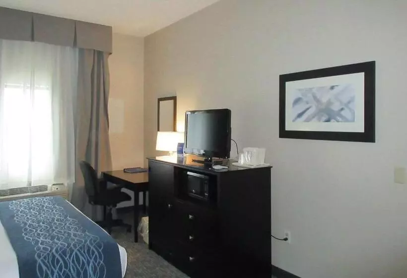 اتاق استاندارد با تخت بزرگ, Comfort Inn