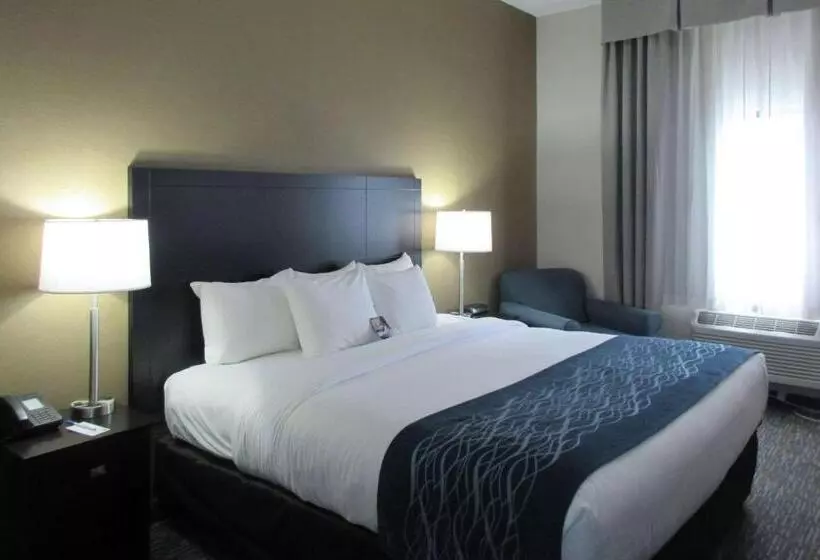 اتاق استاندارد با تخت بزرگ, Comfort Inn
