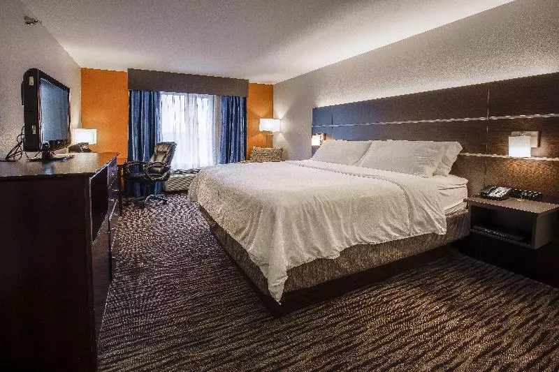 キングサイズベッドのスタンダードルーム, Holiday Inn Express Hotel & Suites Sioux Falls Brandon, An Ihg