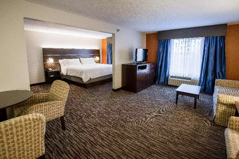 キングサイズベッドのスイートルーム, Holiday Inn Express Hotel & Suites Sioux Falls Brandon, An Ihg