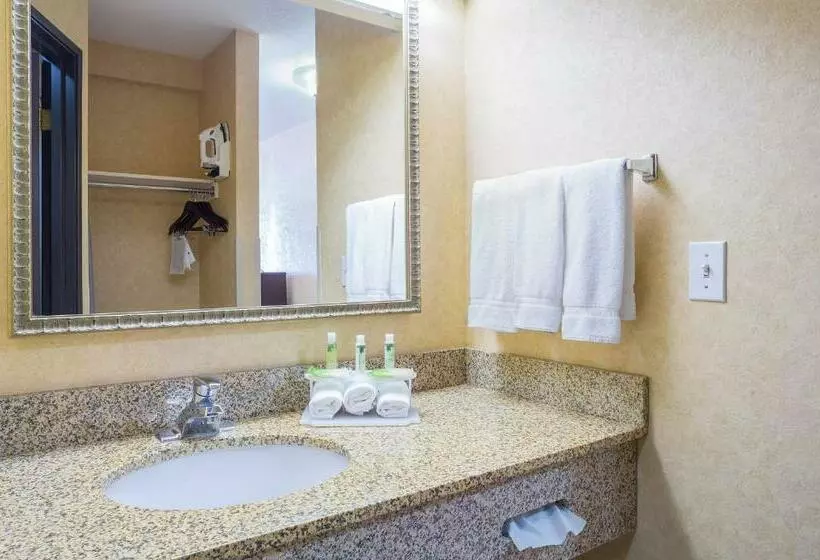 スタンダードルーム, Holiday Inn Express Layton I 15, An Ihg
