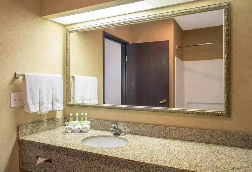 スイート(家族用), Holiday Inn Express Layton I 15, An Ihg