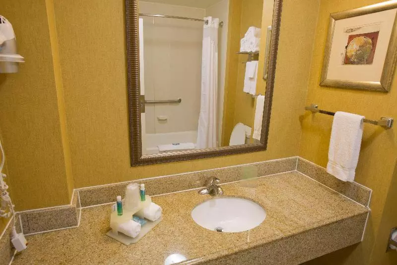 キングサイズベッドのエクゼクティブルーム, Holiday Inn Express New Albany, An Ihg