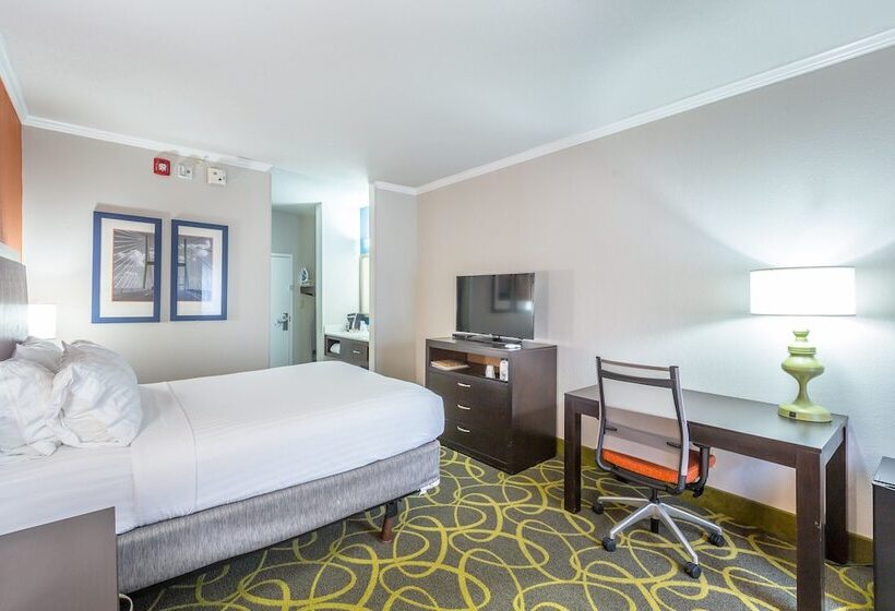 标准间, Holiday Inn Express Saint Simons Island, An Ihg