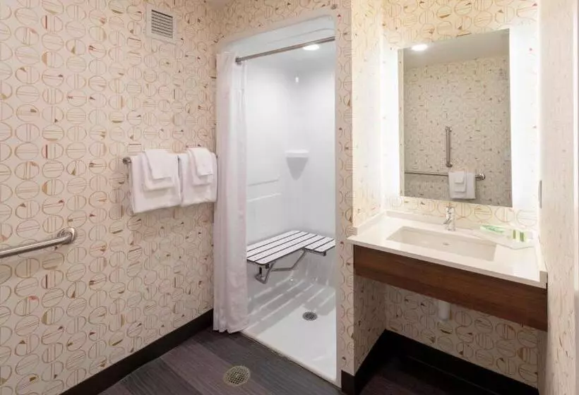 اتاق استاندارد با تخت بزرگ برای معلولان, Holiday Inn Marquette, An Ihg