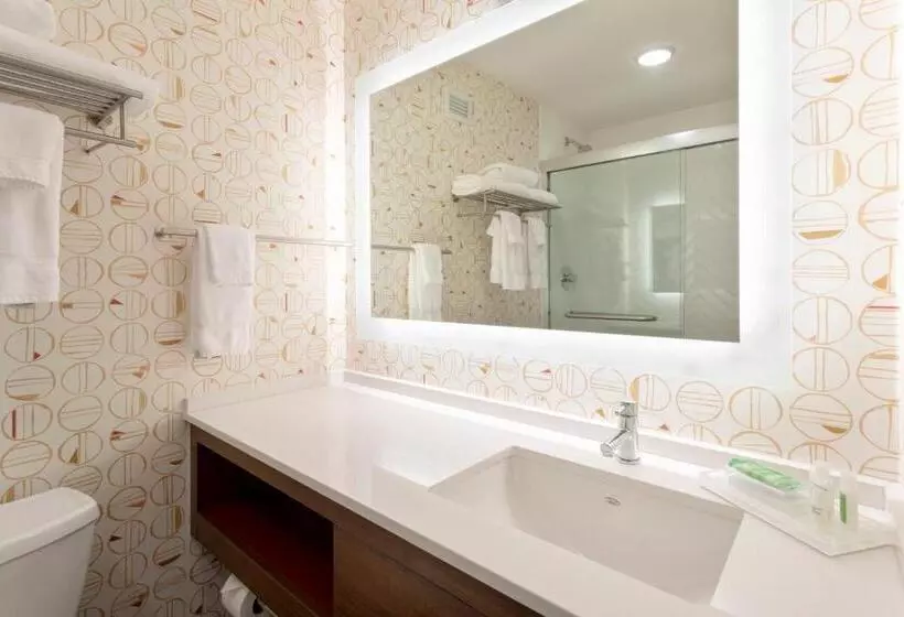 اتاق استاندارد با تخت بزرگ برای معلولان, Holiday Inn Marquette, An Ihg