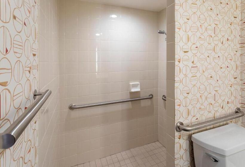 غرفة قياسية لذوى الاحتياجات الخاصة, Holiday Inn Marquette, An Ihg