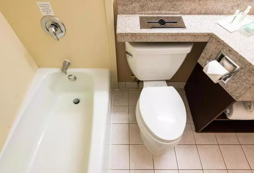 ２ダブルベッドのスタンダードルーム, Holiday Inn South Plainfield Piscataway, An Ihg