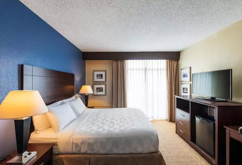 キングサイズベッドのスタンダードルーム, Holiday Inn South Plainfield Piscataway, An Ihg