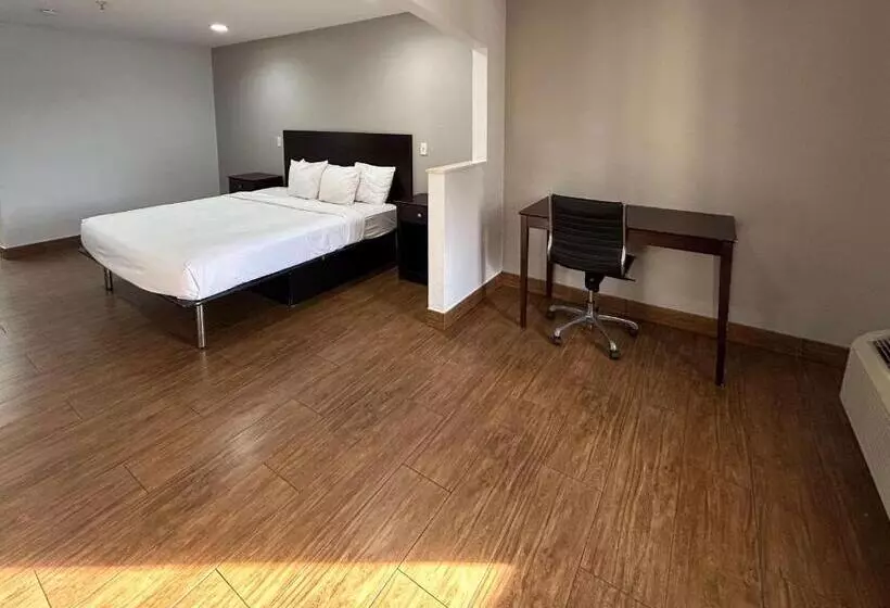 キングサイドベッドのスタンダードワンルーム, Motel 6 Denham Springs, La