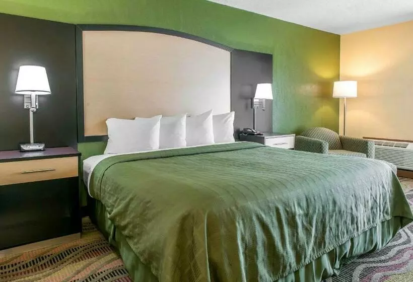 キングサイズベッドのスタンダードルーム, Quality Inn Conference Center Logansport