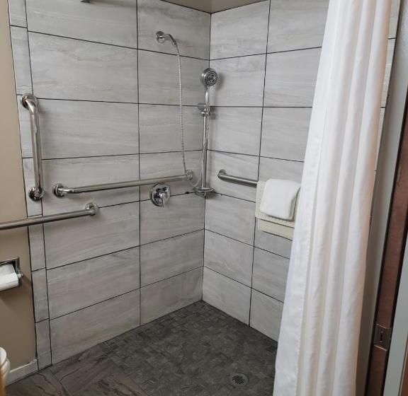Номер Стандарт Кровать Кинг Адаптированный для Инвалидов, Ramada By Wyndham Angola/fremont Area