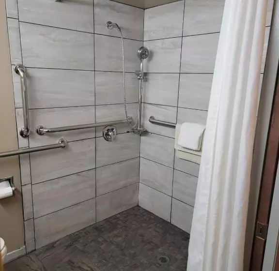 身障者適用キングサイズベッドルーム, Ramada By Wyndham Angola/fremont Area