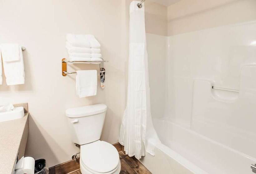 Номер Стандарт 2 Двуспальные Кровати, Surestay Plus Hotel By Best Western Elizabethtown Hershey