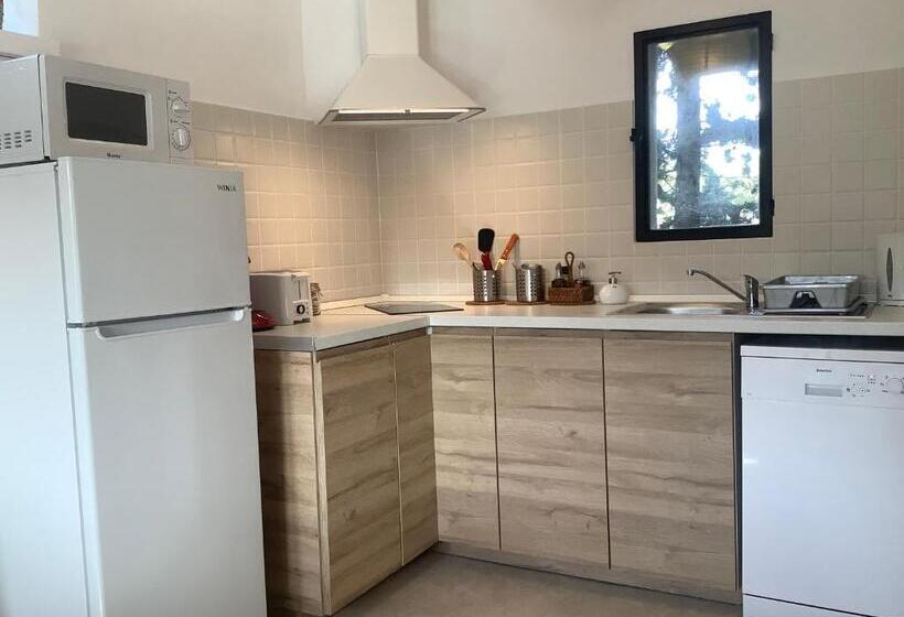 Апартаменты 1 Спальня с Террасой, Kasbah Andaluz Guest House