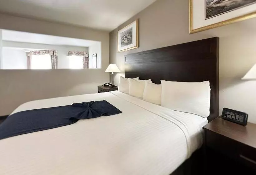 キングサイズベッドのジュニアスイート, Bayvue Hotel, Resort & Suites