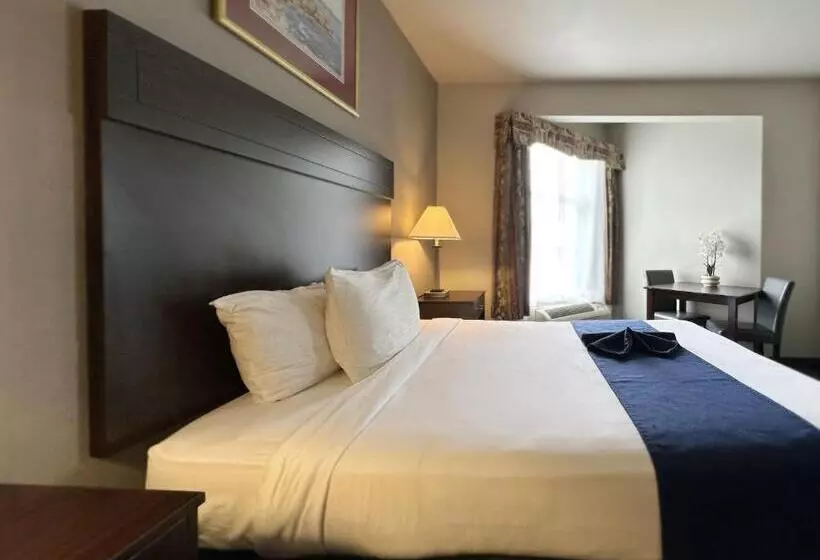 スタンダードルーム, Bayvue Hotel, Resort & Suites