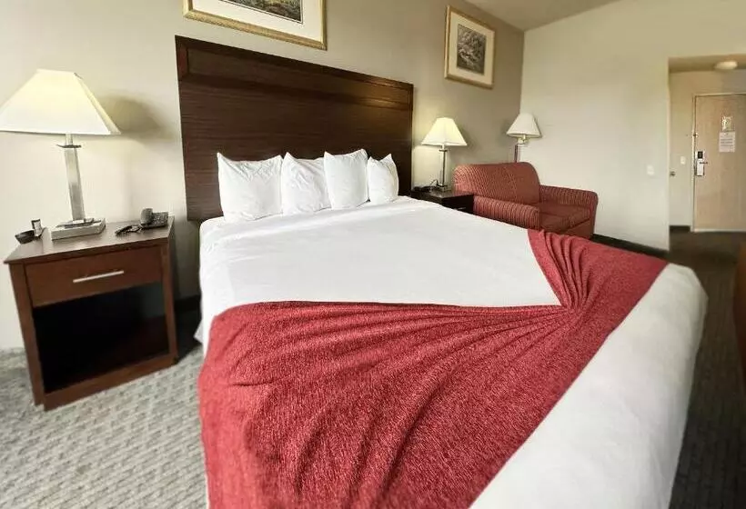 キングサイズベッドのスタンダードルーム, Bayvue Hotel, Resort & Suites