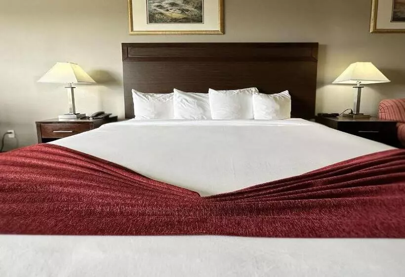 キングサイズベッドのスタンダードルーム, Bayvue Hotel, Resort & Suites