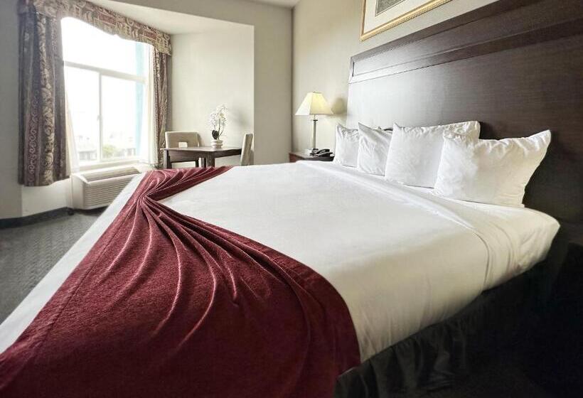 스탠다드 룸 킹사이즈 침대, Bayvue Hotel, Resort & Suites