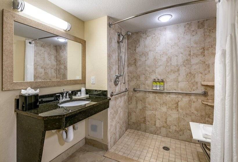 스탠다드 룸 더블 침대, Holiday Inn Resort Orlando   Lake Buena Vista, An Ihg