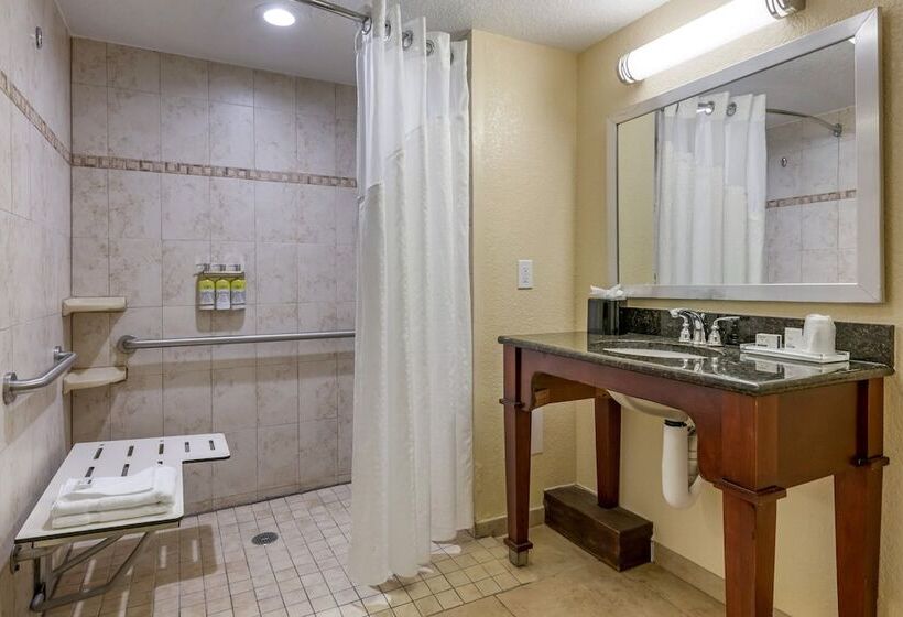 스탠다드 룸 더블 침대 2개, Holiday Inn Resort Orlando   Lake Buena Vista, An Ihg