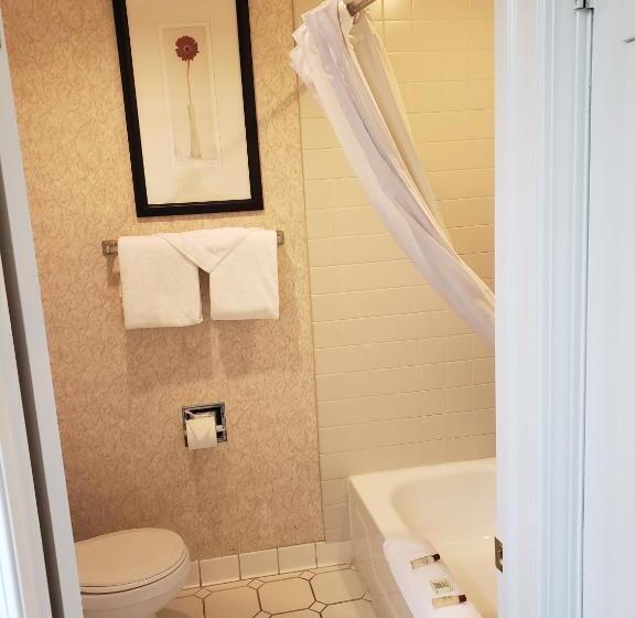 سوئیت با تخت بزرگ, Affordable Suites Of America Detroitwarren