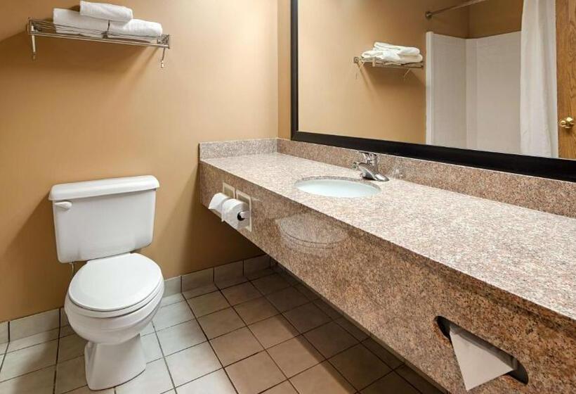 Люкс Кровать Кинг, Best Western Plaza Hotel Saugatuck