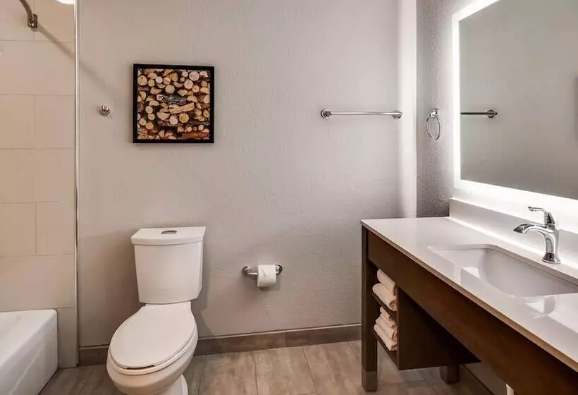 Sviitti, Best Western Plus Bourbonnais Hotel & Suites