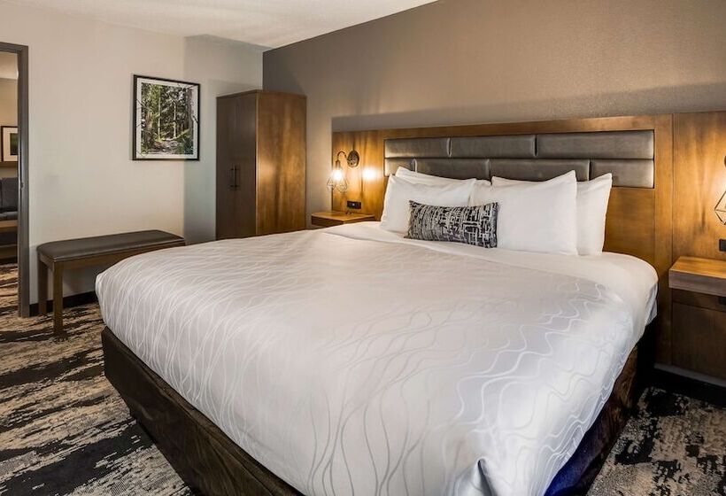 Sviitti, Best Western Plus Bourbonnais Hotel & Suites