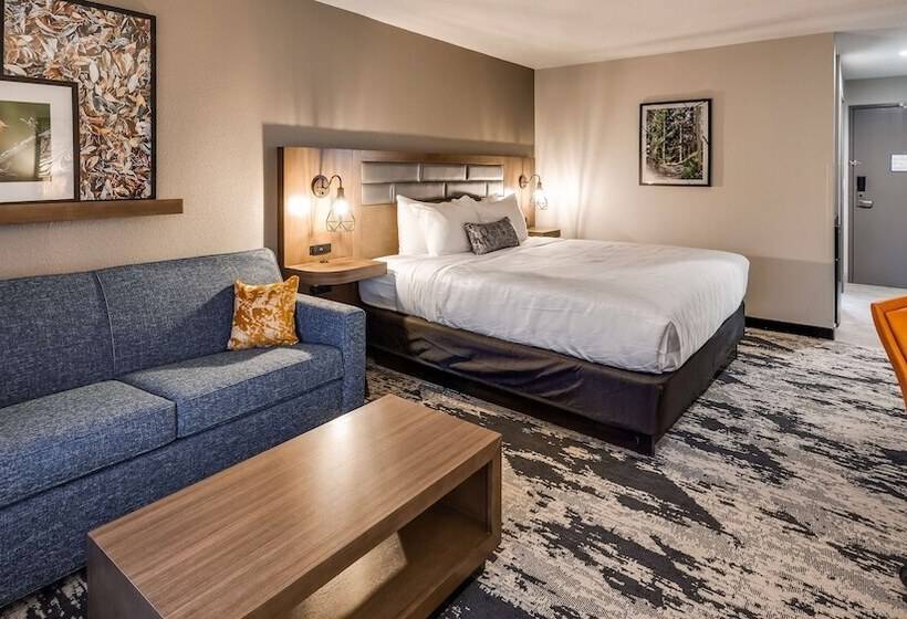 Sviitti, Best Western Plus Bourbonnais Hotel & Suites